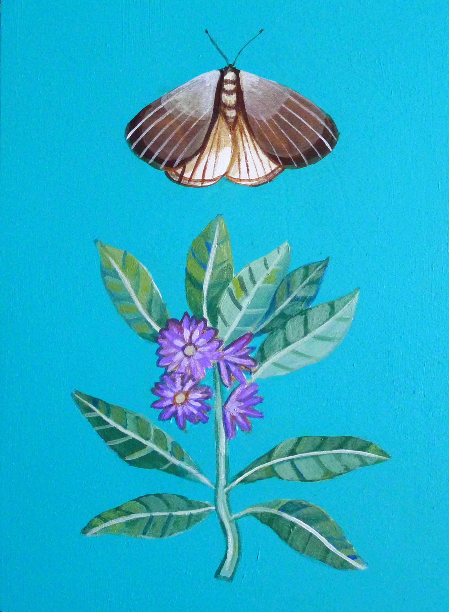Moth with Flowers