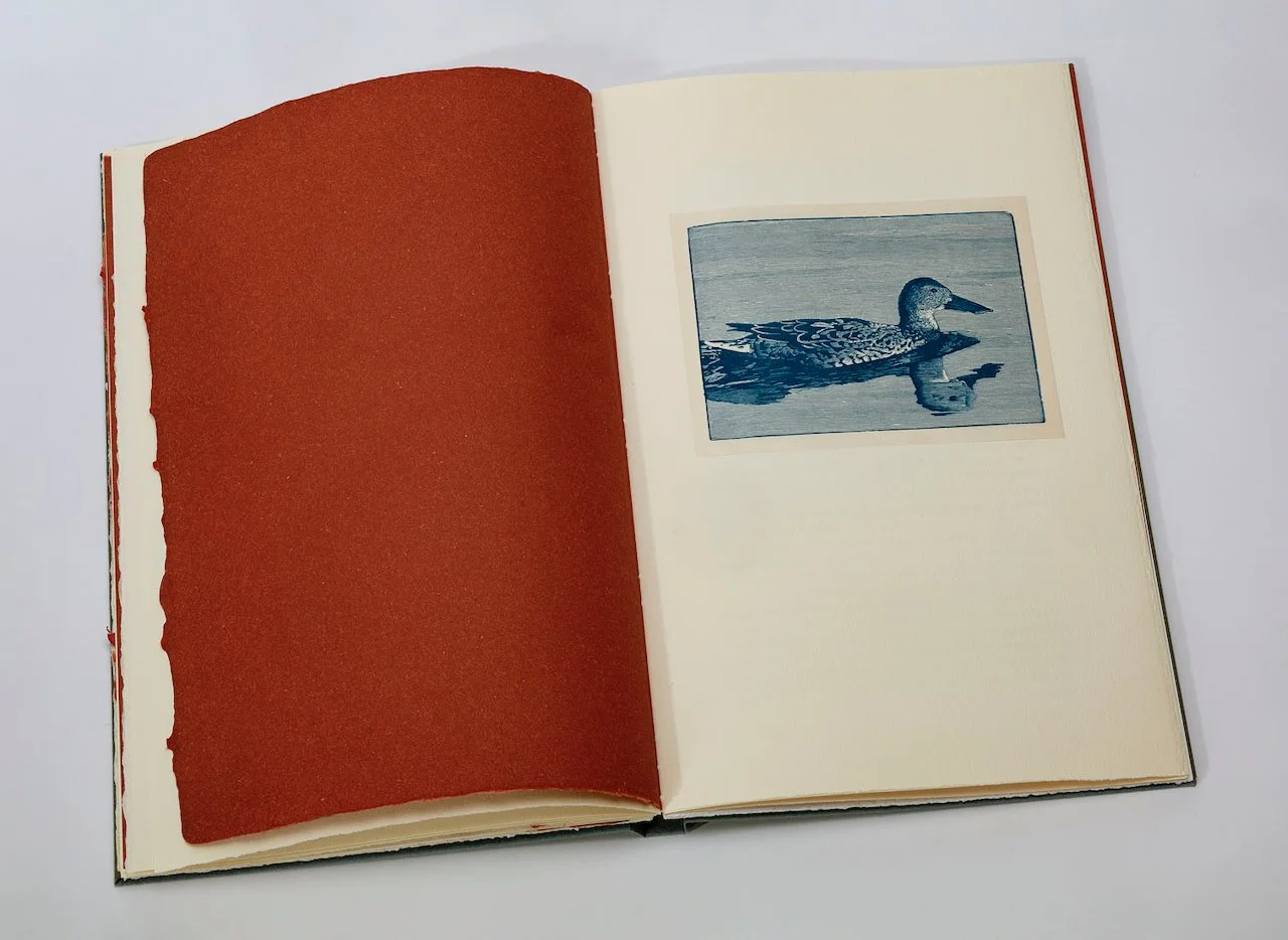 Quiet Water interior spread 5.jpeg