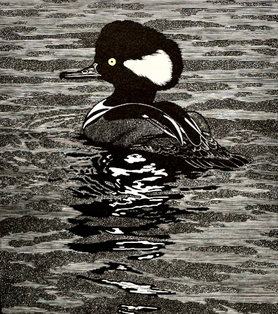 Reflections in Quiet Water