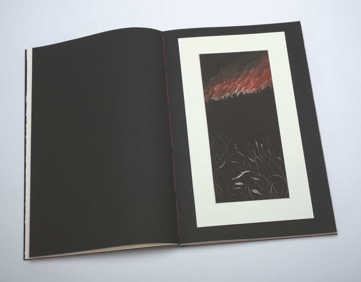 Fire on the Hills inside spread 2 copy.jpg