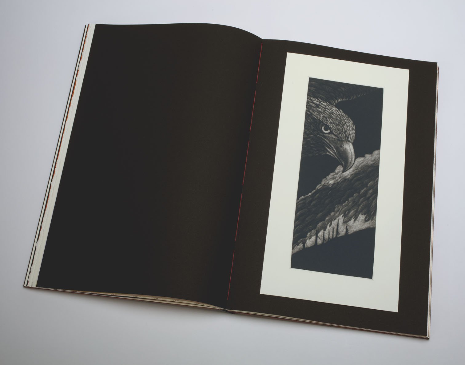 Fire on the Hills inside spread 3 copy.jpg