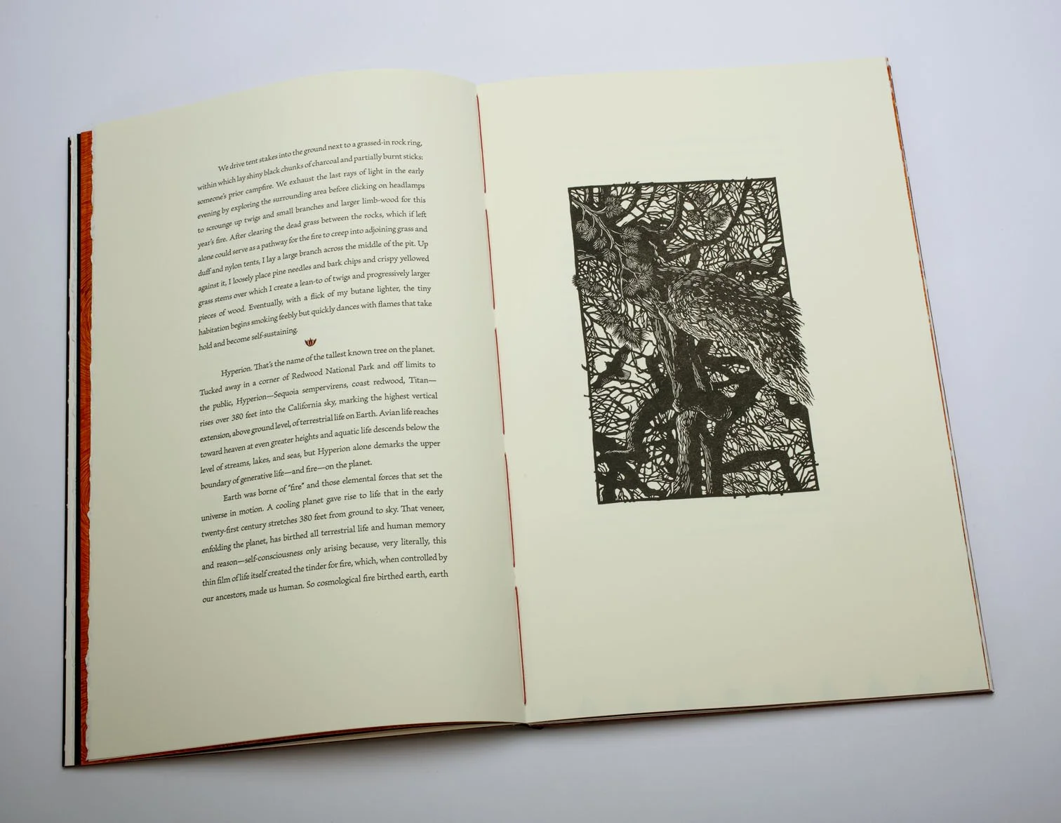 Fire on the Hills inside spread 4 copy.jpg