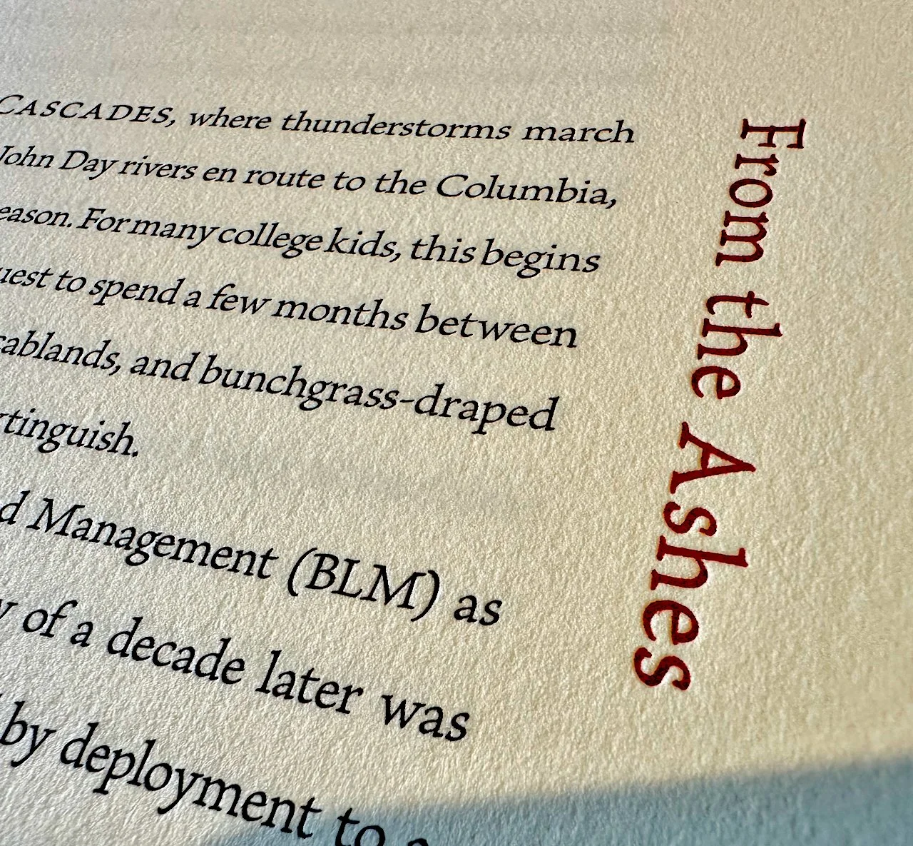 IMG_9966 (1) copy.jpeg