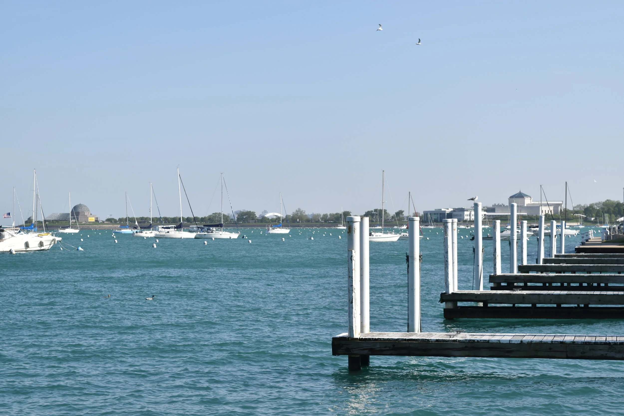 F.E.A.R. II: California Almost Sent Me Packing