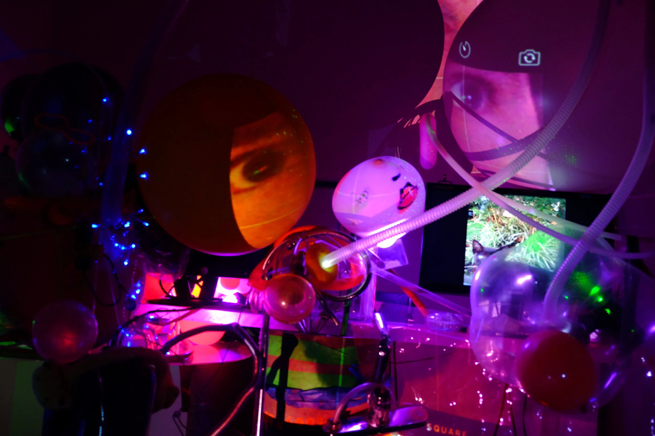 light Garden 2015