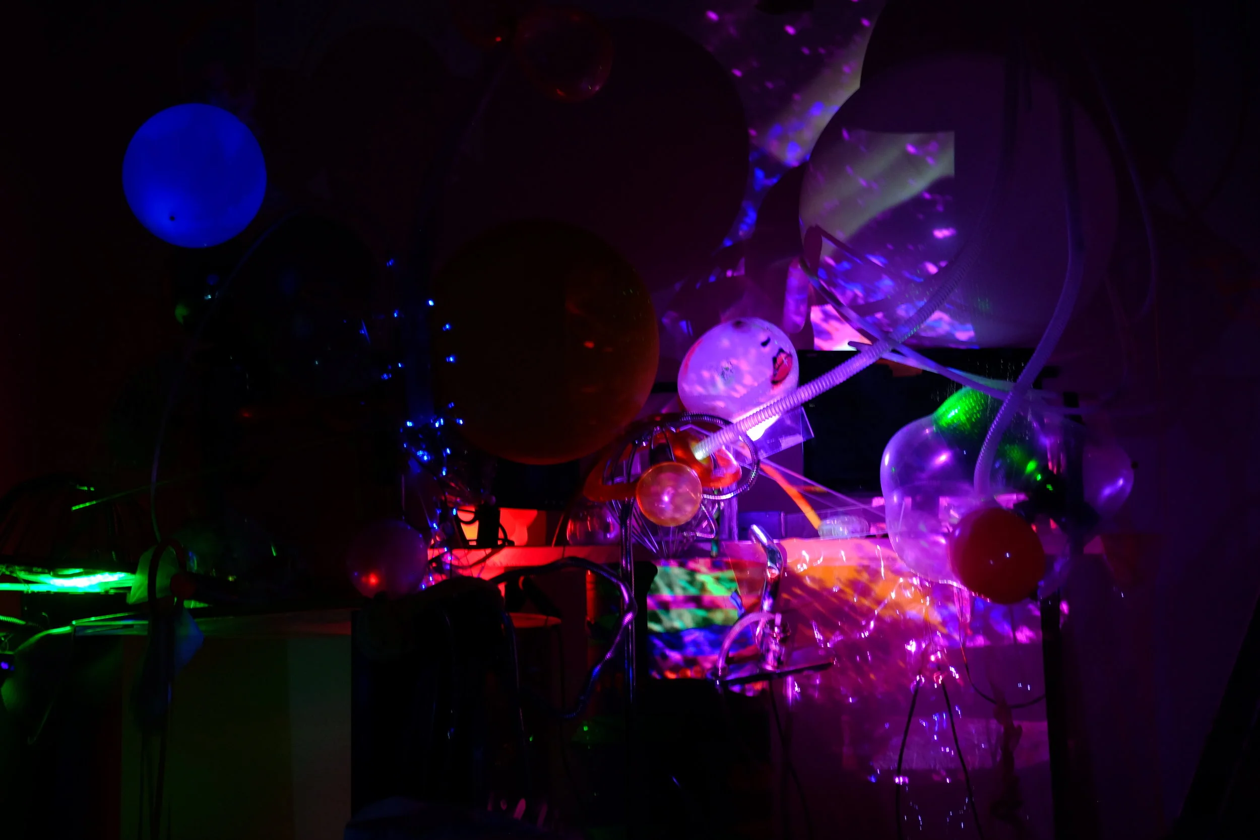 Light Garden 2015
