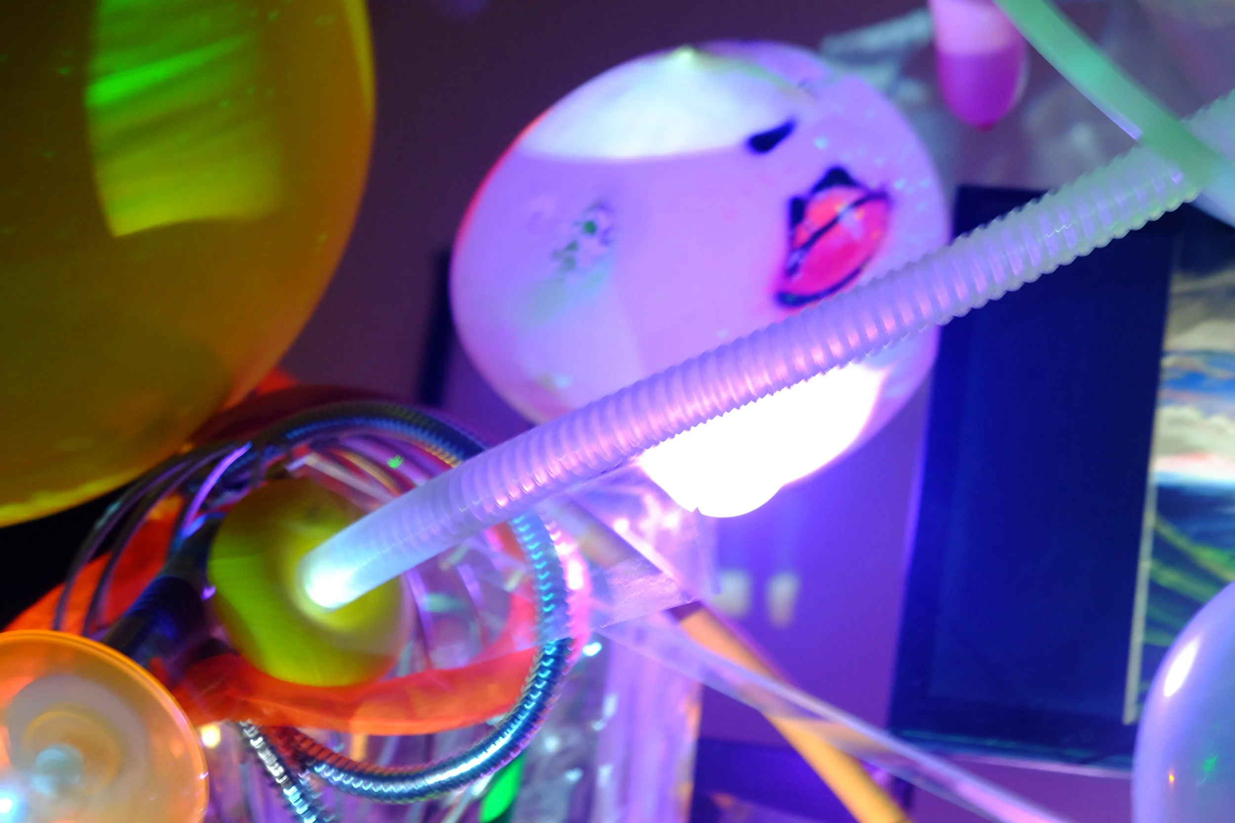 Light Garden