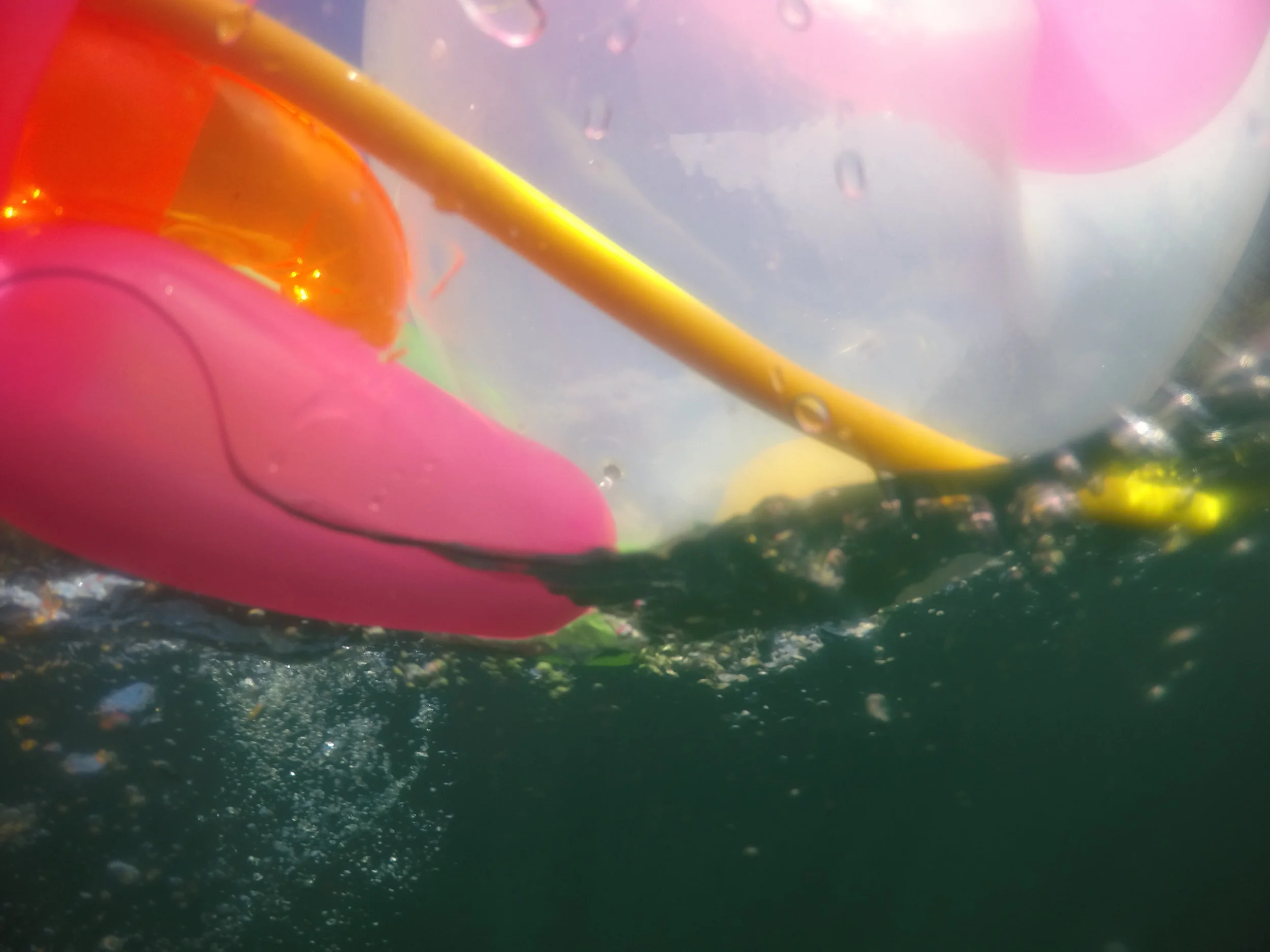 aquajuly