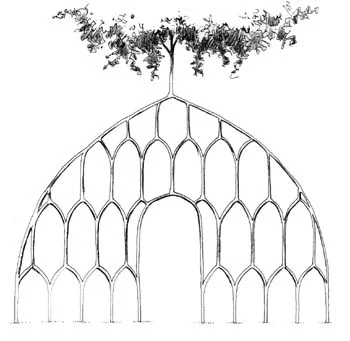 This entryway was grown by Axel Erlandson in late 1920's He planted 10 trees and simply pruned and grafted the growing tree parts to create this pattern. He built a scrap wood frame behind it to serve as a guide and hold the tree parts still until the grafts had taken. To learn more about this and other projects, along with the complete history of Arborsculpture, pick up your copy of Arborsculpture - Solutions for a Small Planet