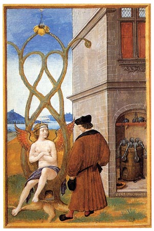  Johannes Perreal painted this miniature in 1516. This is the first known evidence of arborsculpture ever recorded. Was it a vision or did someone actually shape a live tree ?  