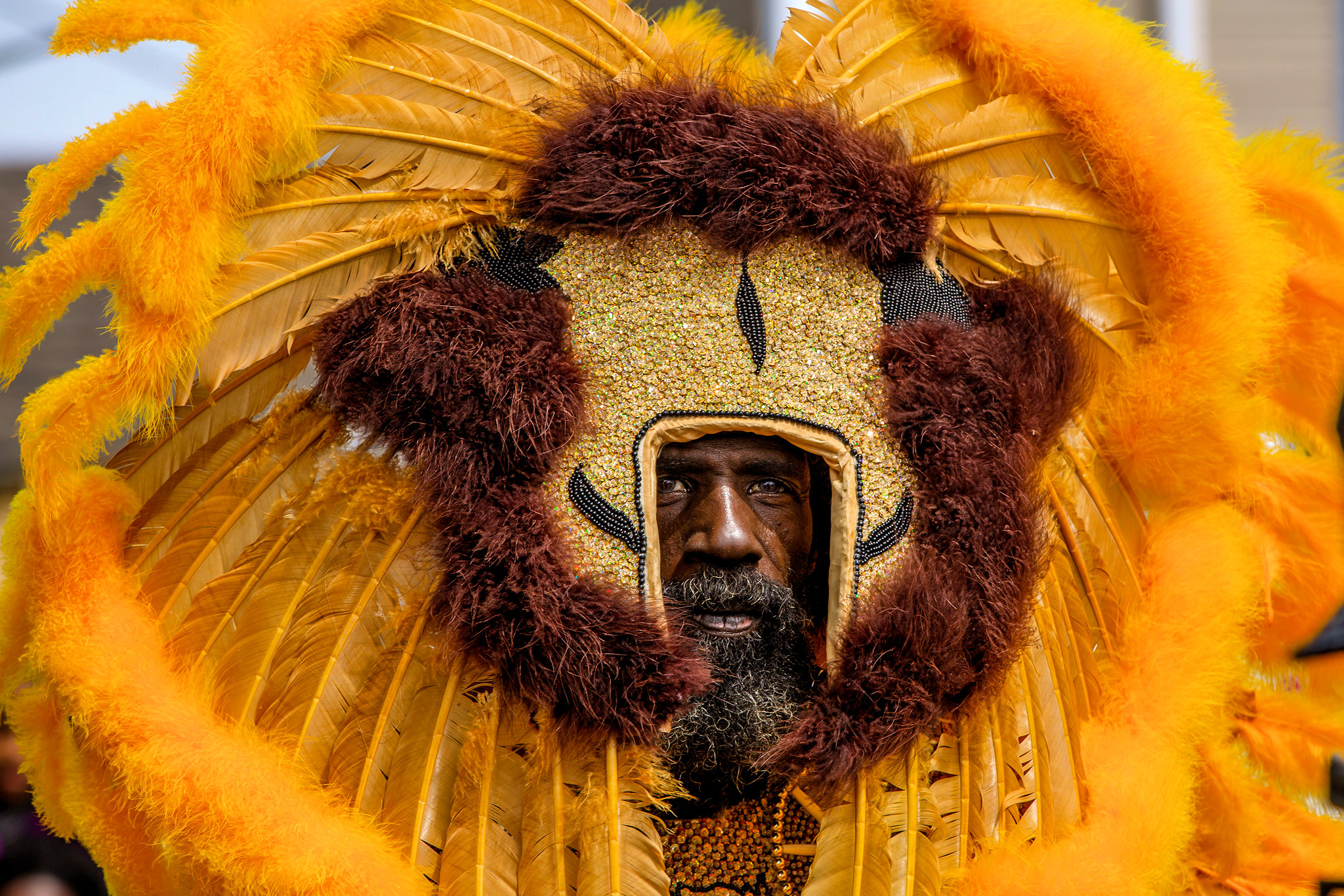 supersunday_mardigras_indians_nola_neworleans-3629.jpg