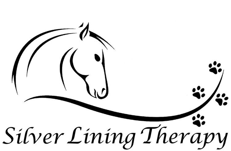 http://www.silverliningtherapytx.com/