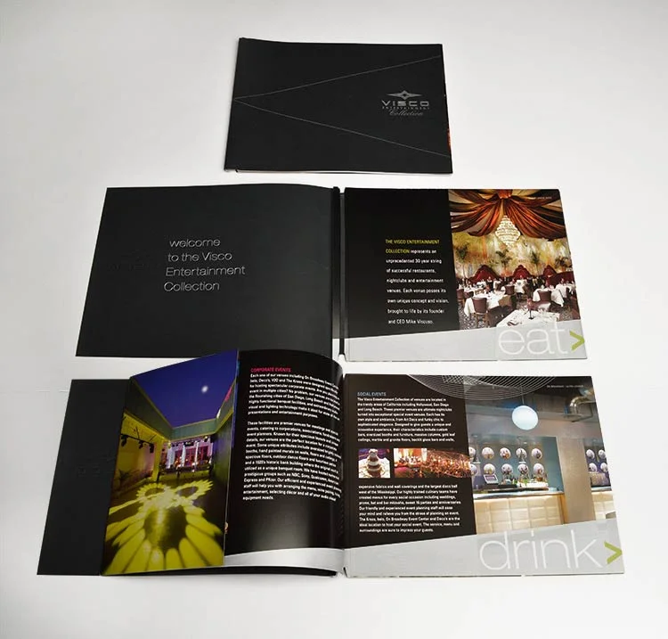 Visco-brochure-design-San-Diego-California-Lien-Design-1.jpg