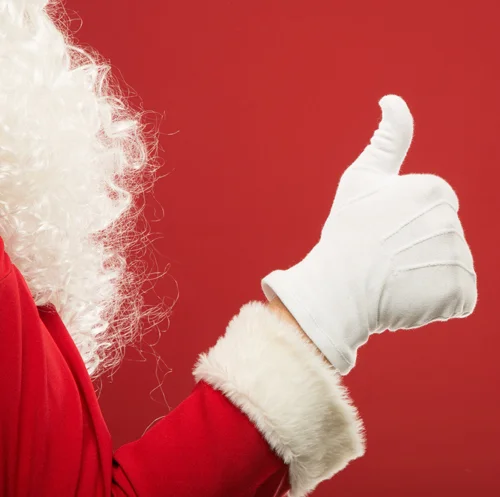 graphic-design-santa-branding-modern-design-san-diego-california.jpg