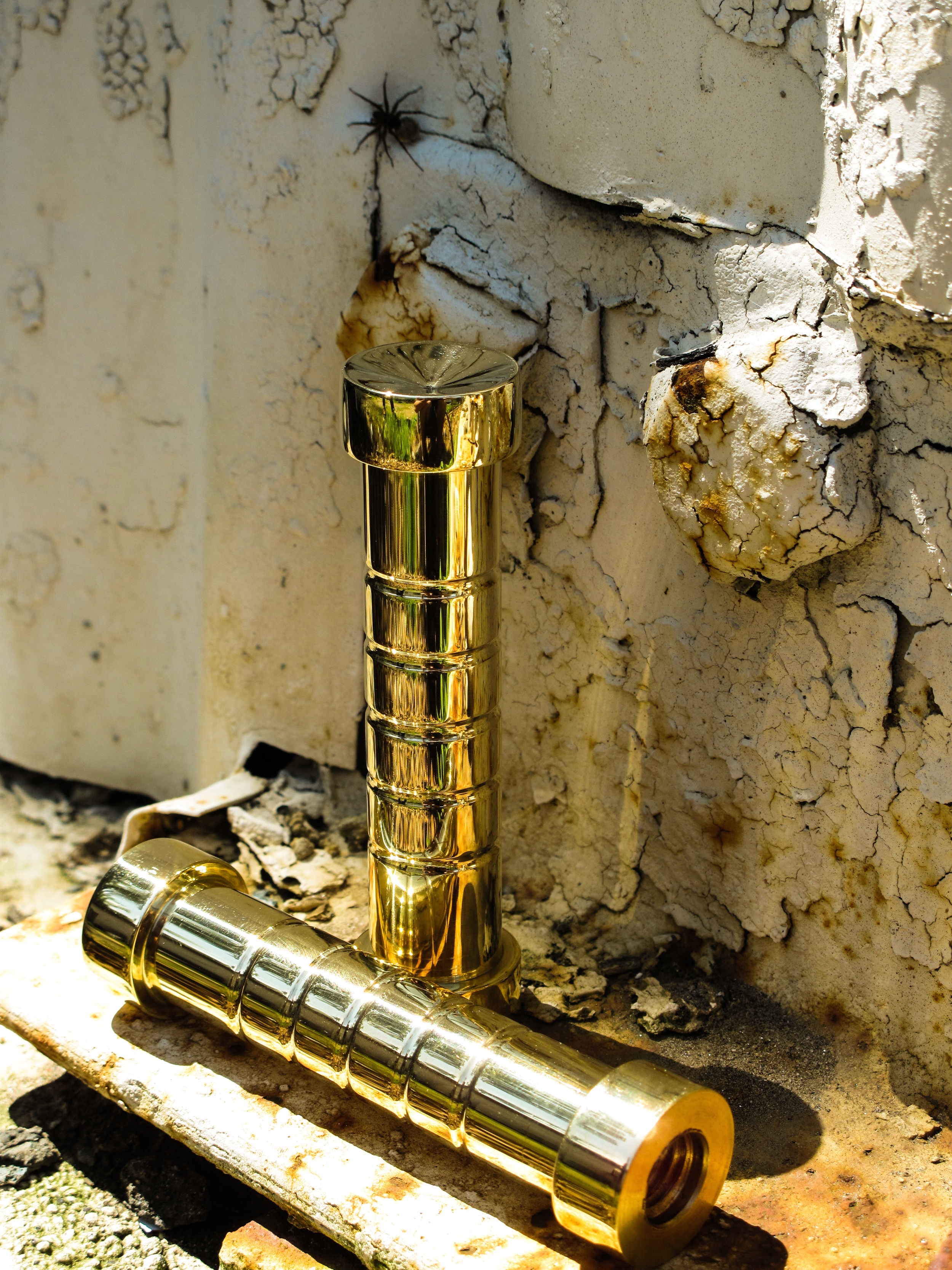 D6C_Polished_BrassPegs_PS.jpg