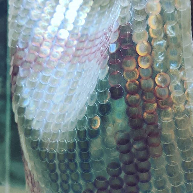 Bio-iredescent sequins. These sequins are made 100% from cellulose. 🧬The DNA 🧬 itself was manipulated to create iredescence, rather than a toxic chemical application. Not to mention, they are biodegradable. 🦚🦋 This particular product is made from