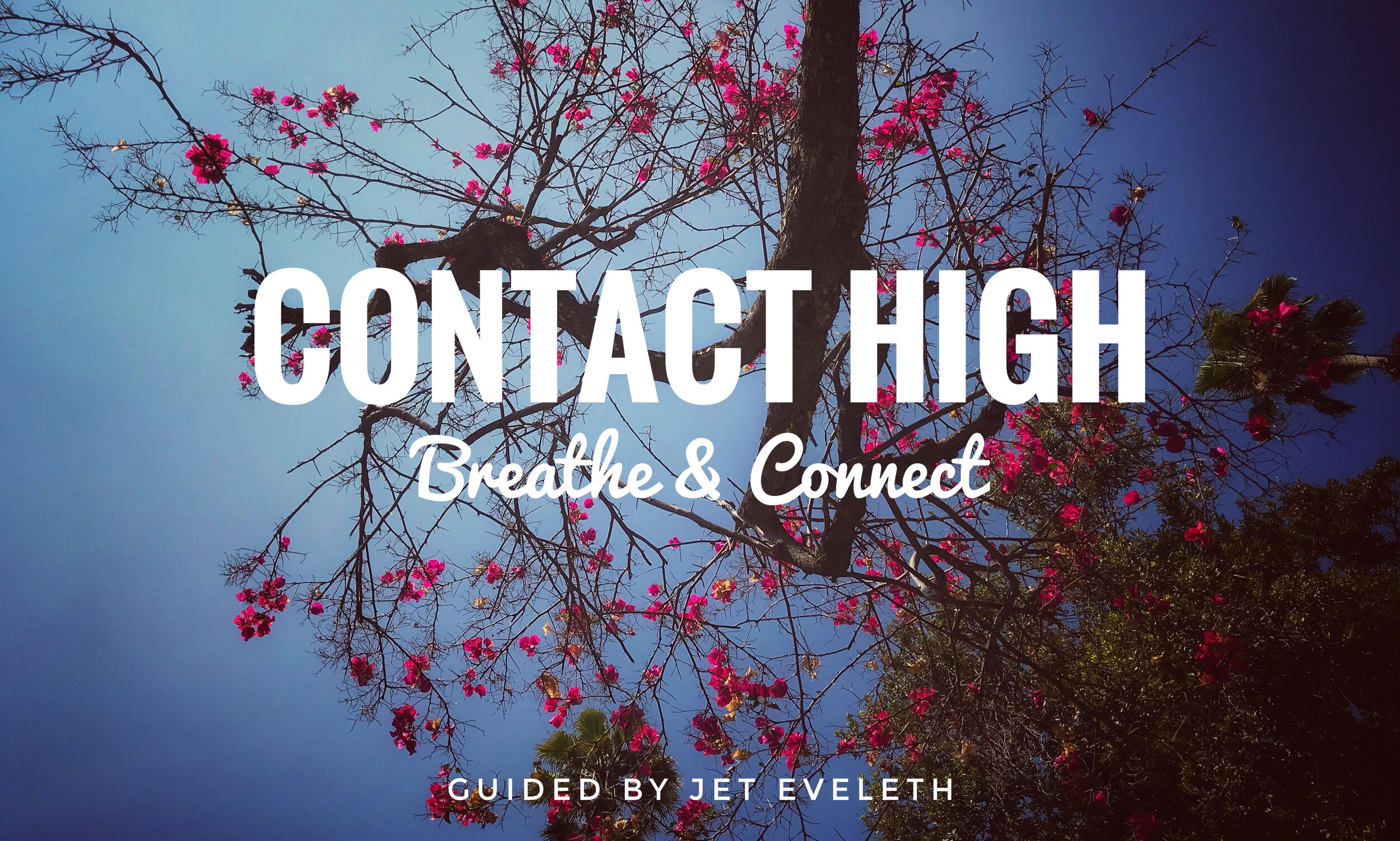 Contact High