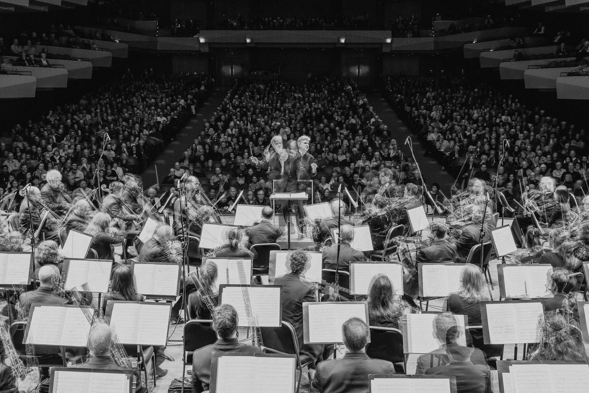 Seattle-Symphony-Orchestra-Moving-Musicians-Stop-Motion-Benaroya-Hall-Brandon-Patoc.jpg