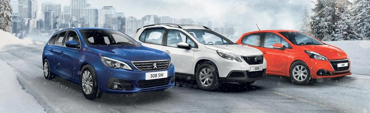 peugeotse-pl-vinter-1210x370.32.jpg
