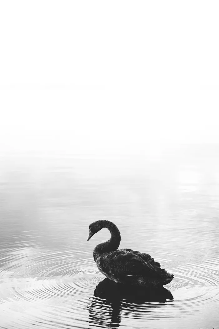 untitled-33.jpg