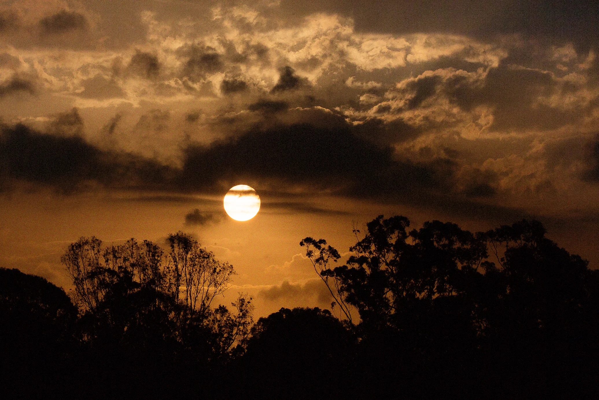 A09I9830-Edit-2.jpg