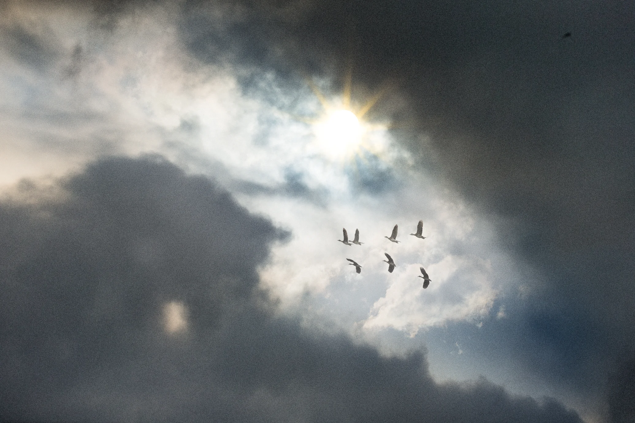A09I9680-Edit-Edit-4.jpg