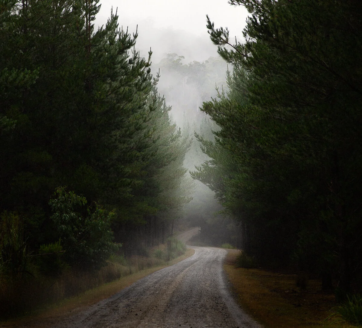 A09I3656-Edit.jpg