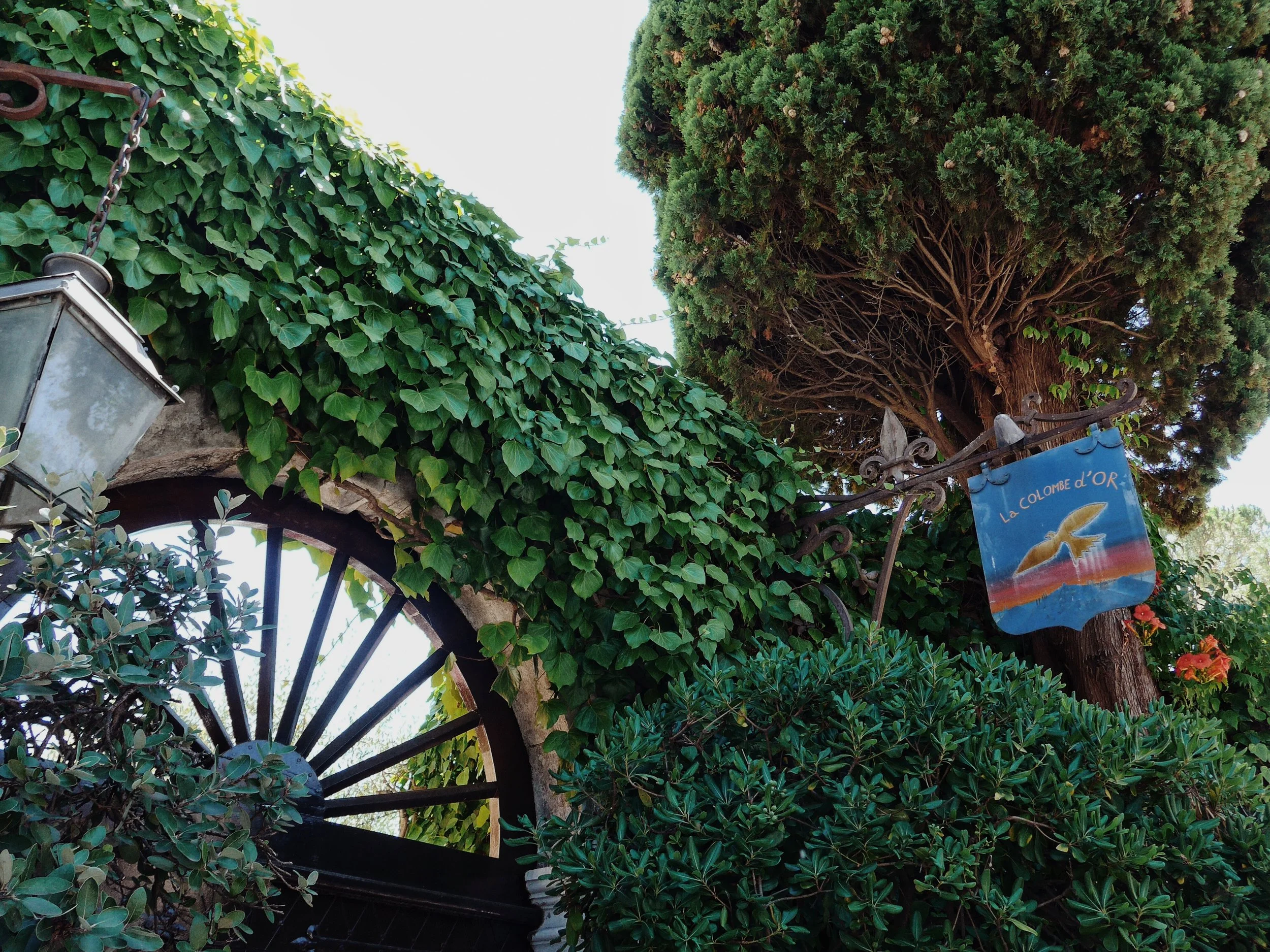 La Colombe d’Or