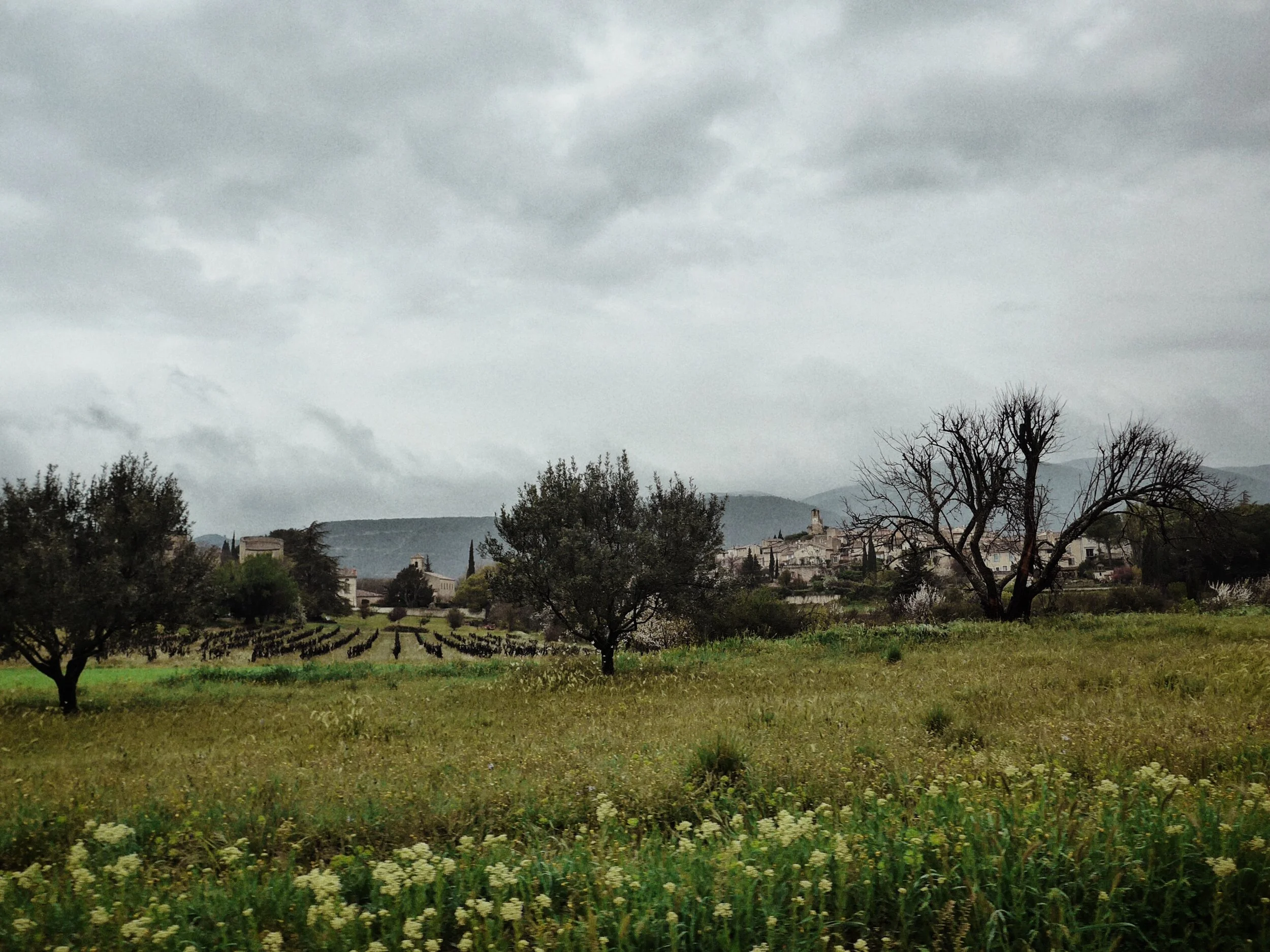 Provence_2.jpg