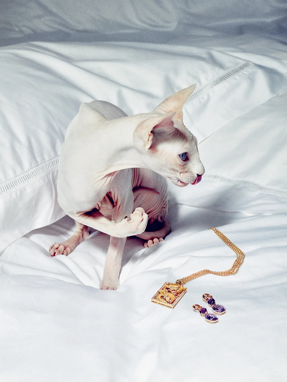 Emmylou, Sphynx, 12 000,– Eier Eli Anita tel 900 29 346 Drageanheng i gult gull med brillianter LANGAARD 97 350,– 2-radet kjede i gult gull LANGAARD 22 100,- Creolheng med i rosé gull med ametyster LANGAARD 22.000,– Creoler i rosé gull LANGAARD 7 700,–