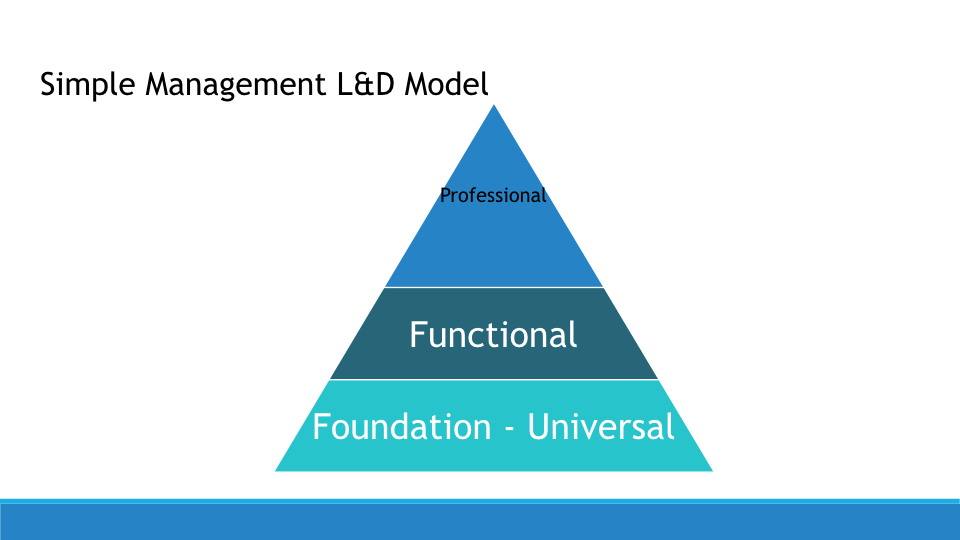 Creating a Learning and Developemnt Strategy copy.031.jpeg