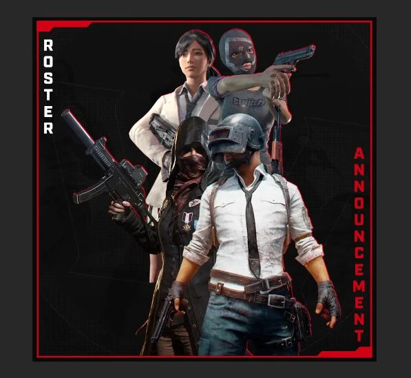 WildcardPUBG.jpg