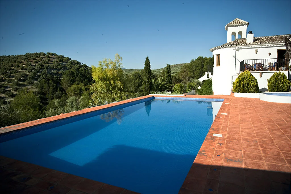 corttjo.jpg