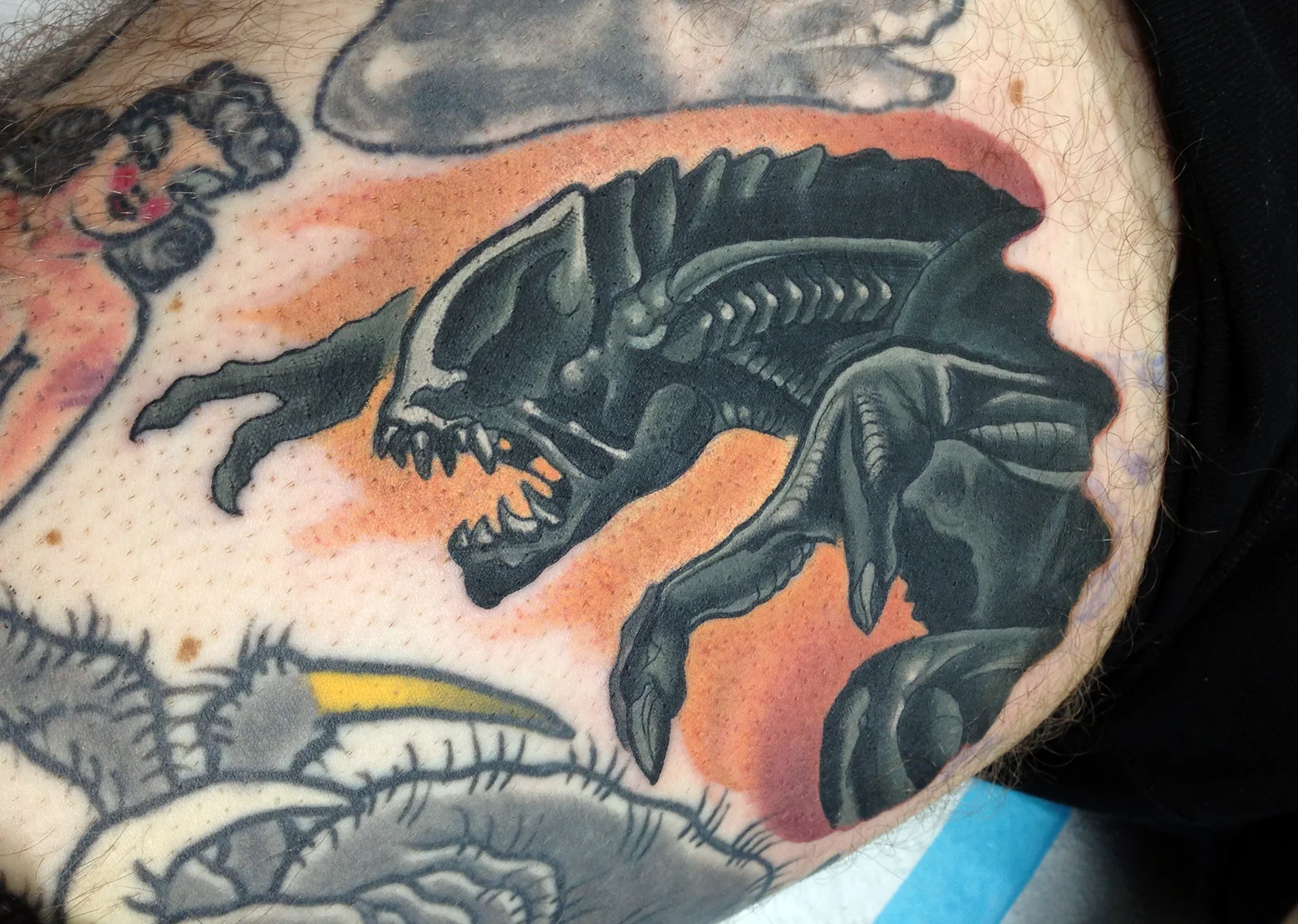 Scott Falbo — Studio Arcanum Tattoo