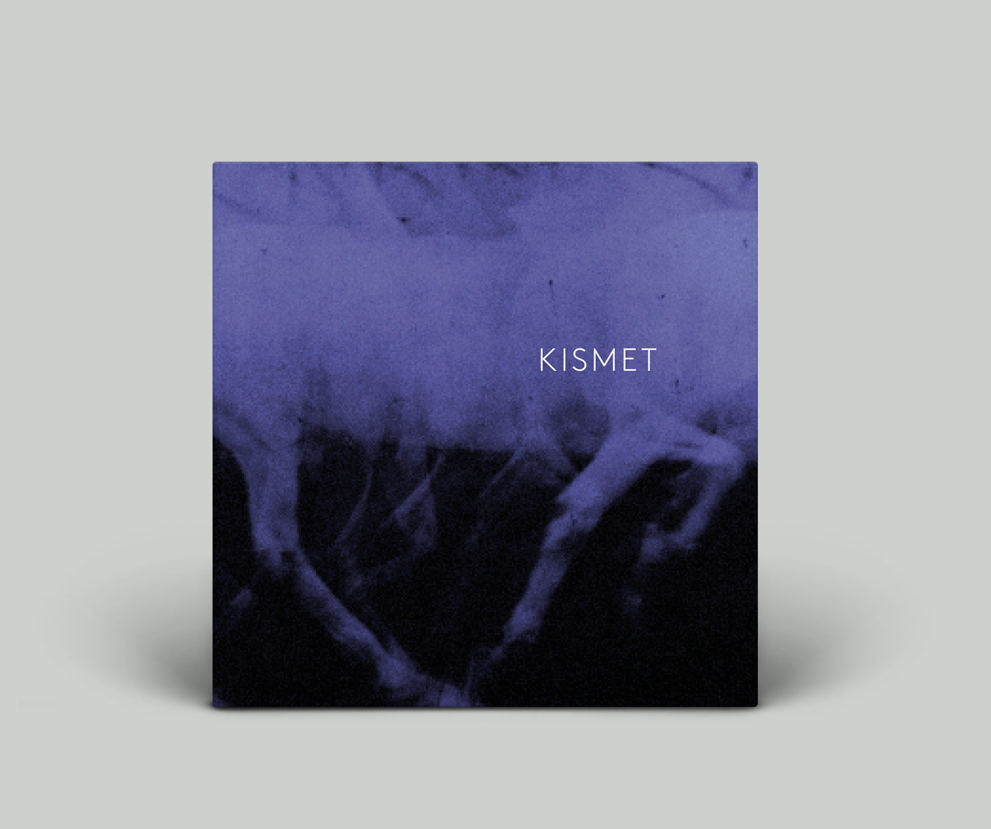_KISMET_Vinyl Record PSD MockUp.jpg