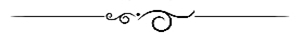 long horizontal line 5.jpg