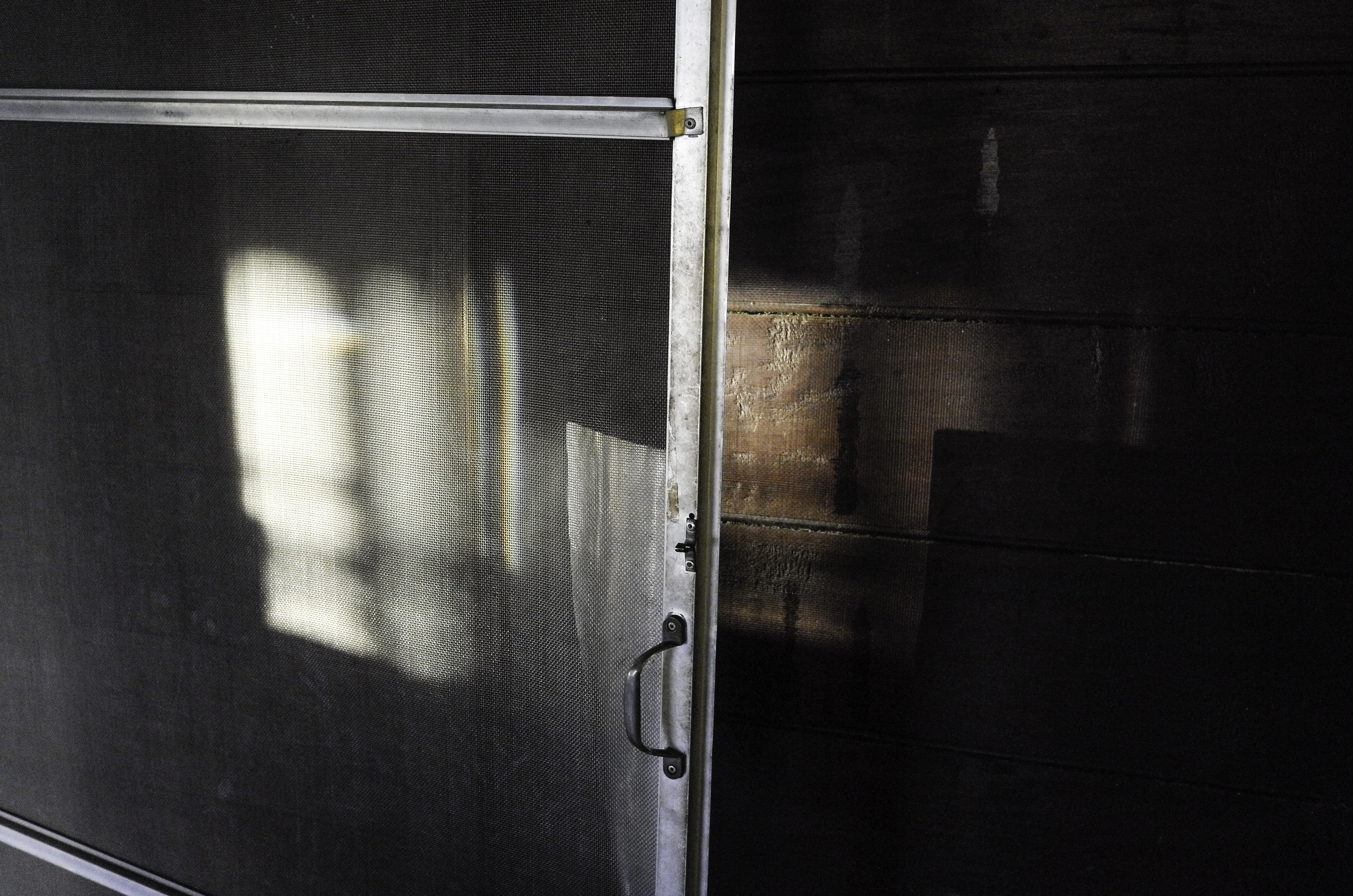 screendoor.jpg