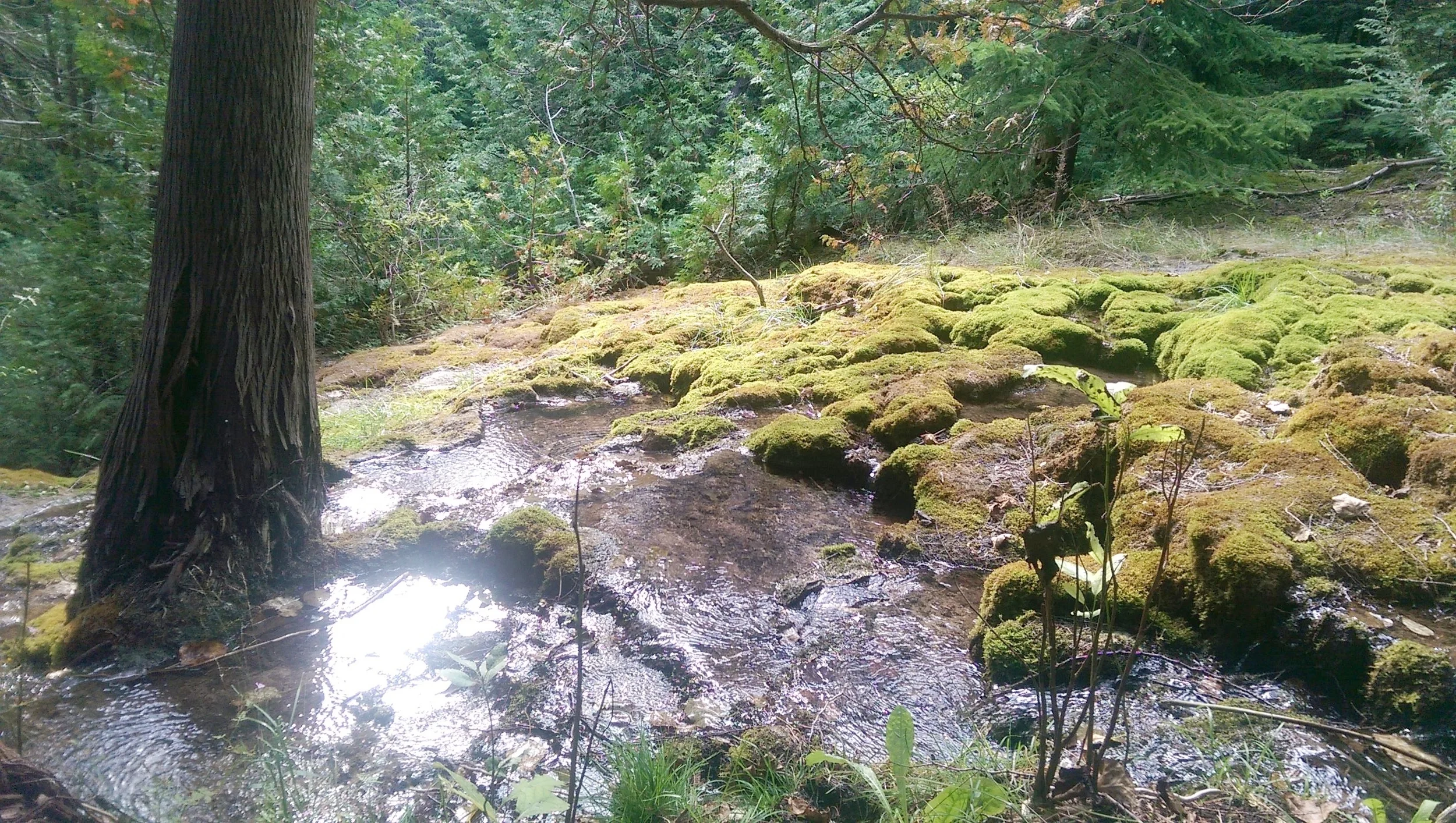 IMAG0524[182156].jpg
