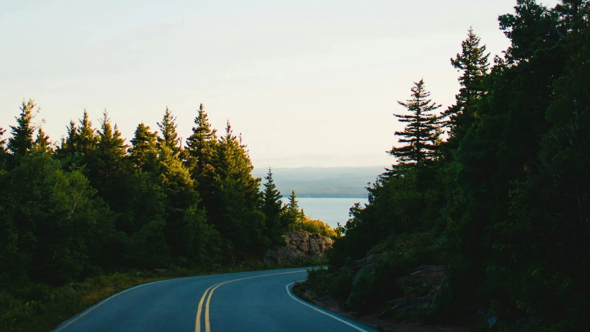 stress road.jpg