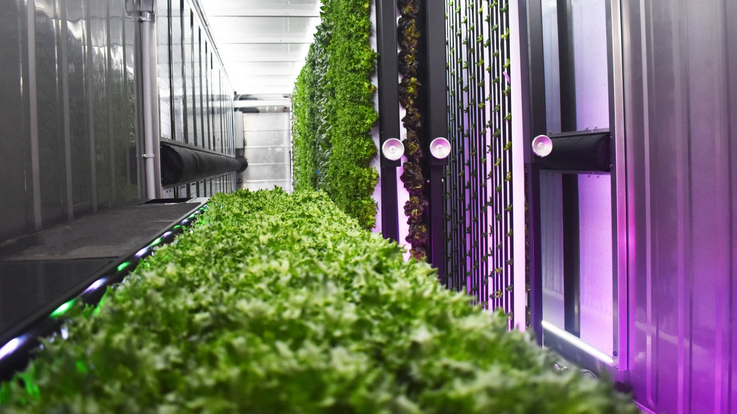 Container Farming Webinars | Urban Farming Webinars | Hydroponics ...