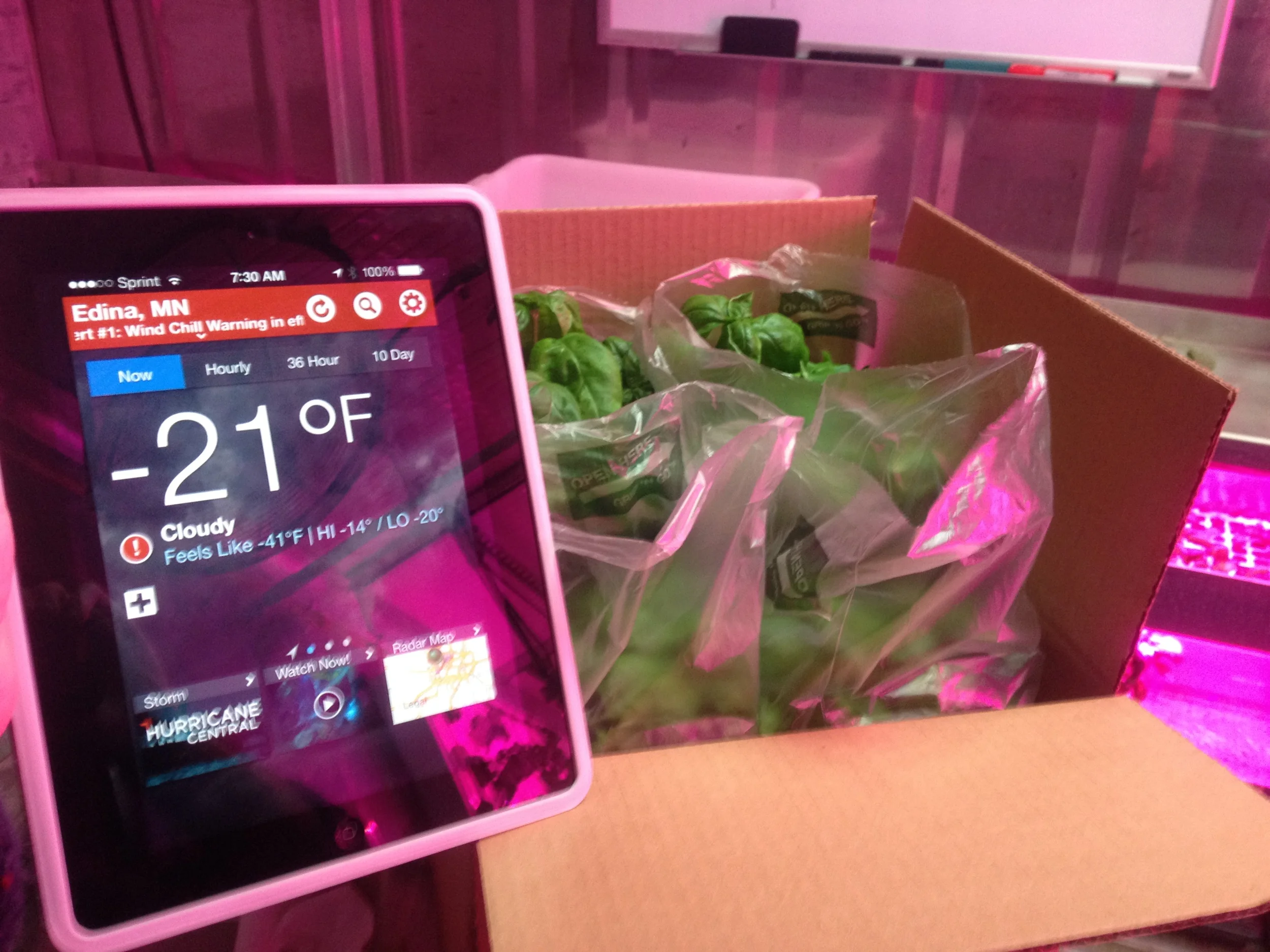 Small Business Spotlights: Freight Farmers Edition