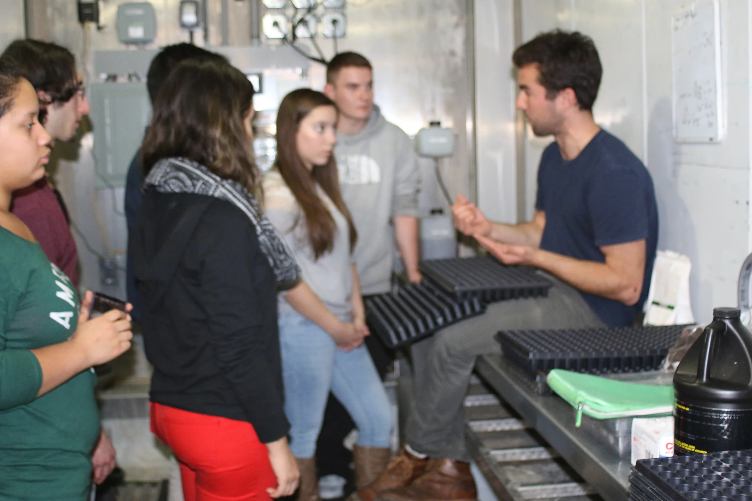 Plant an idea...watch it grow