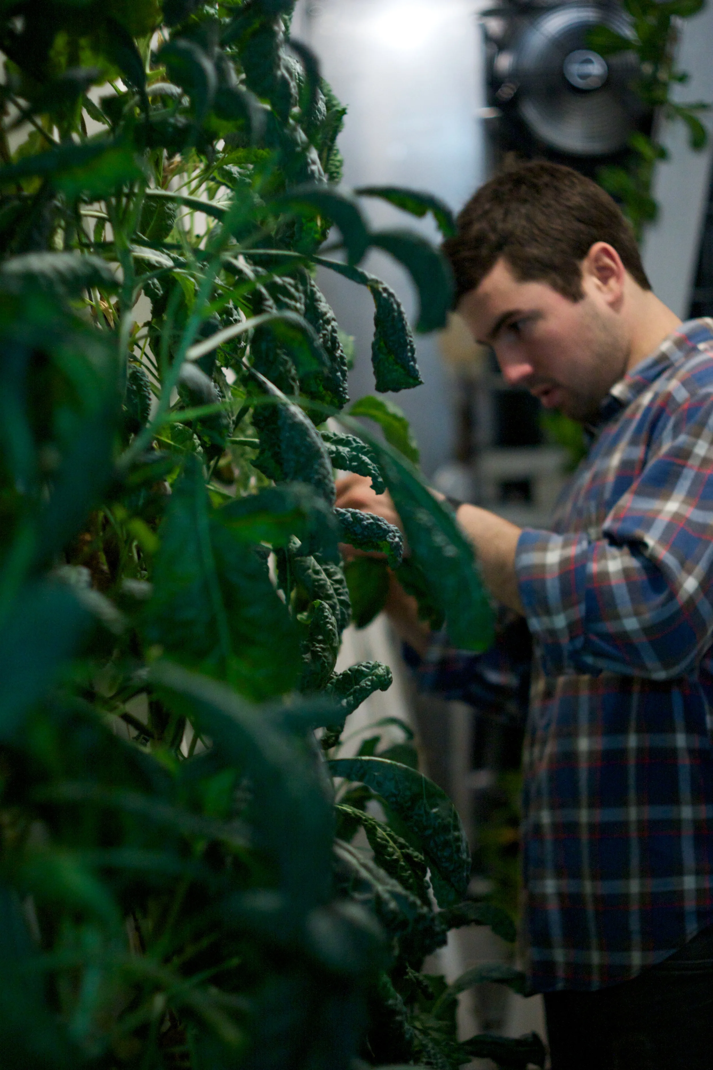 Hydroponic shipping container 