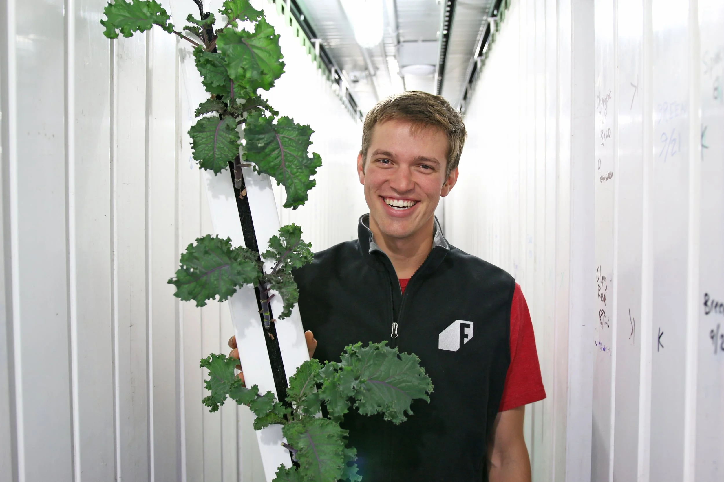 5 tasty ways to eat your greens.