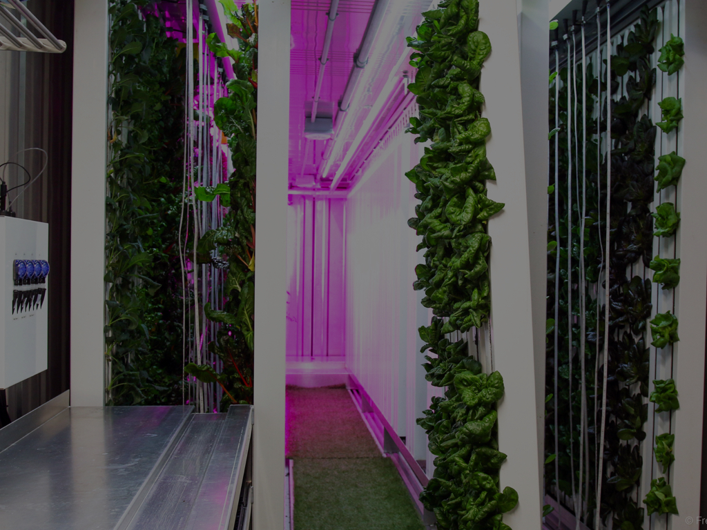 Square Roots Launches Urban Farm Accelerator
