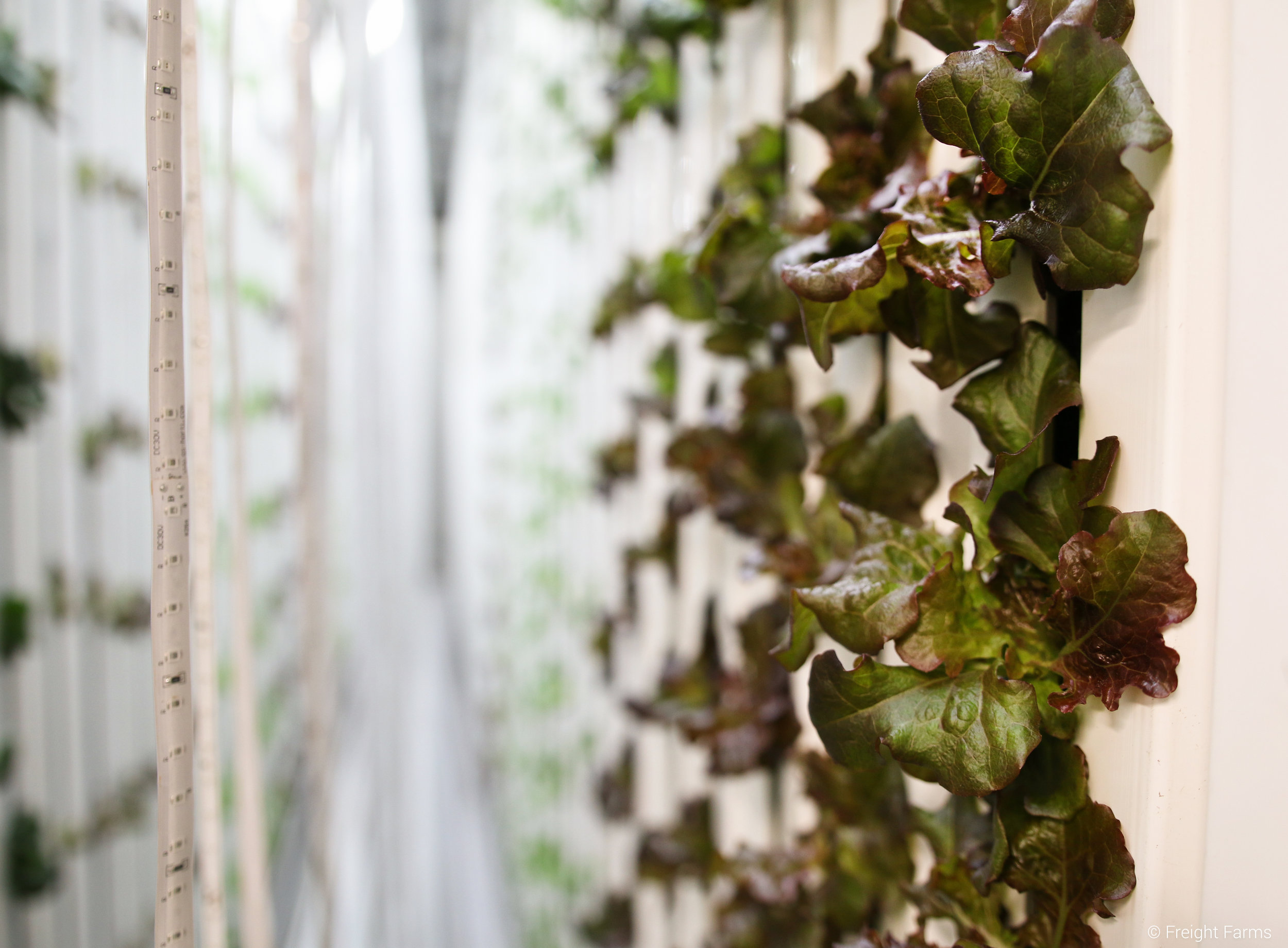 Bring Transparency into the Food System