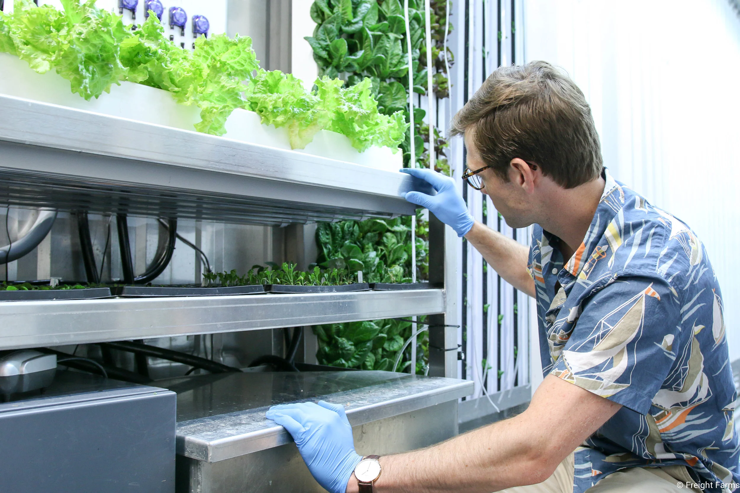 Seedling Station