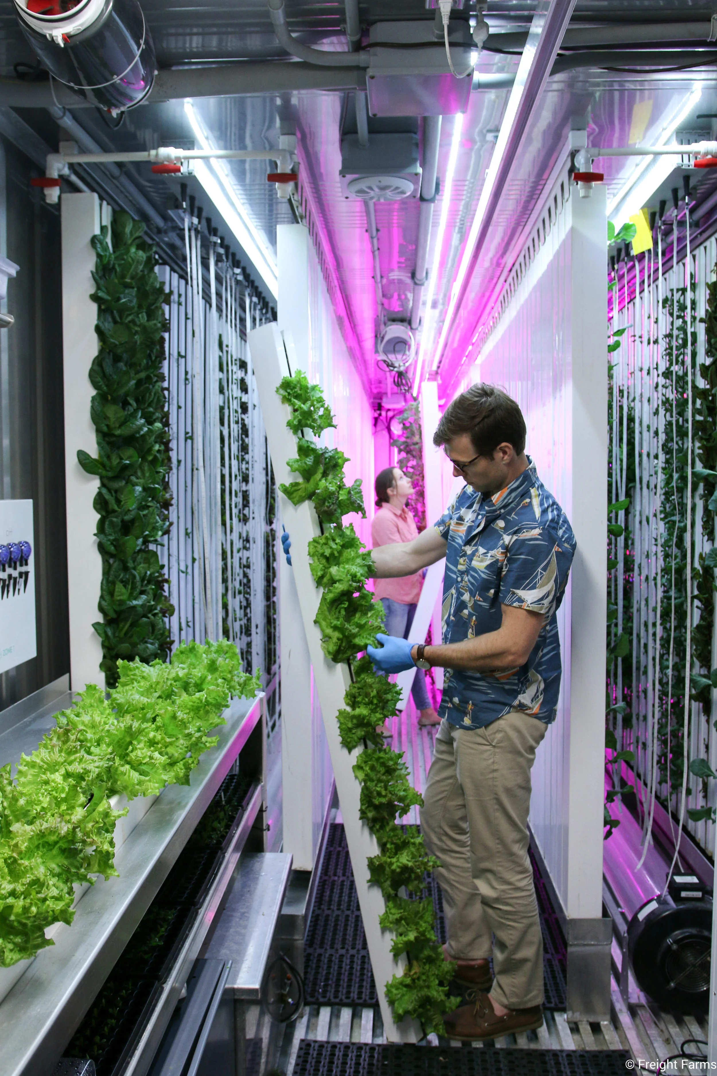 Vertical Farming