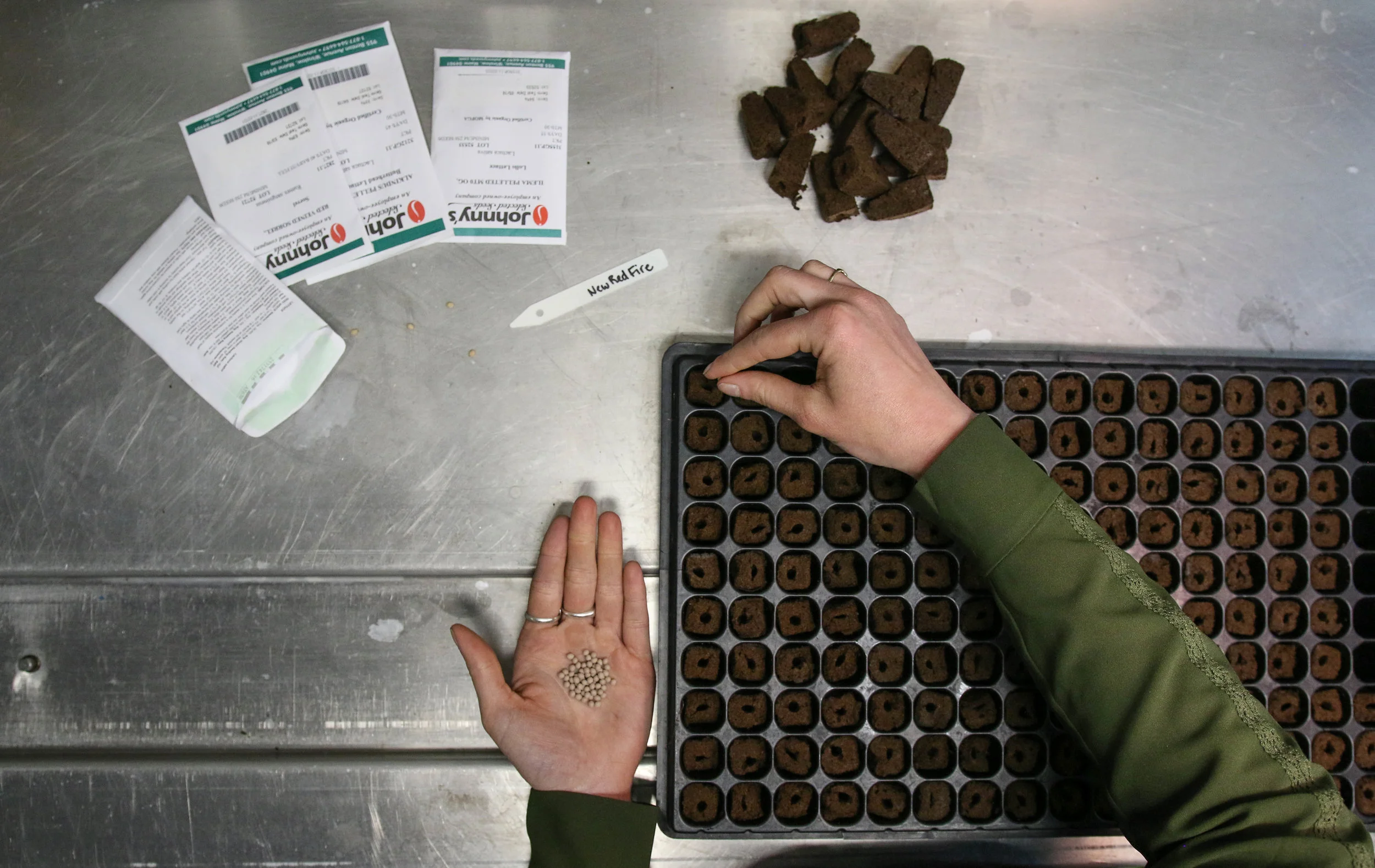 Seeding in the Leafy Green Machine