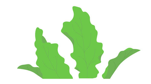 Lettuce Help.png